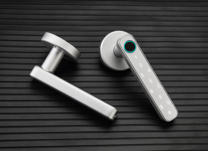 HaoTing Smart Handle Lock (Silver)